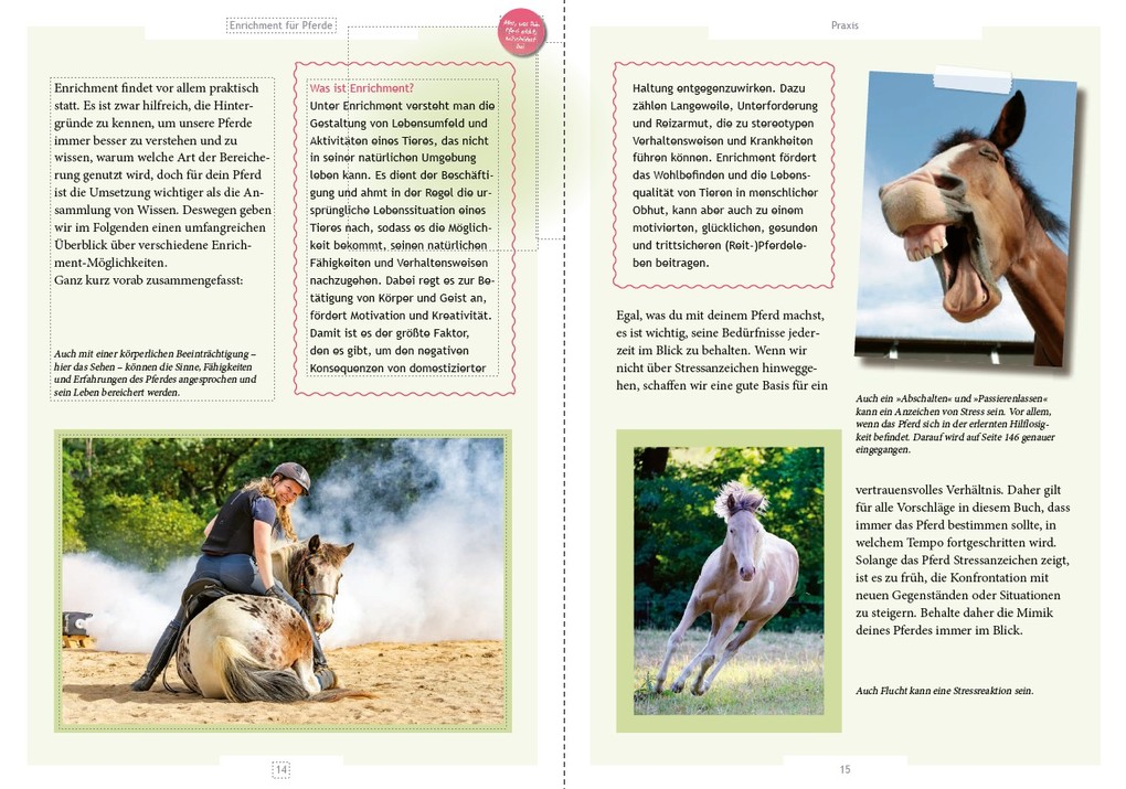 Weitere Ansicht: Enrichment für Pferde | Britta Gockel, Carina Warnstädt