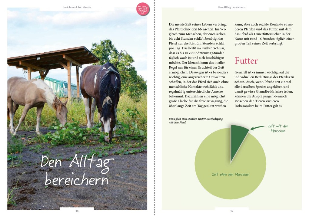 Weitere Ansicht: Enrichment für Pferde | Britta Gockel, Carina Warnstädt