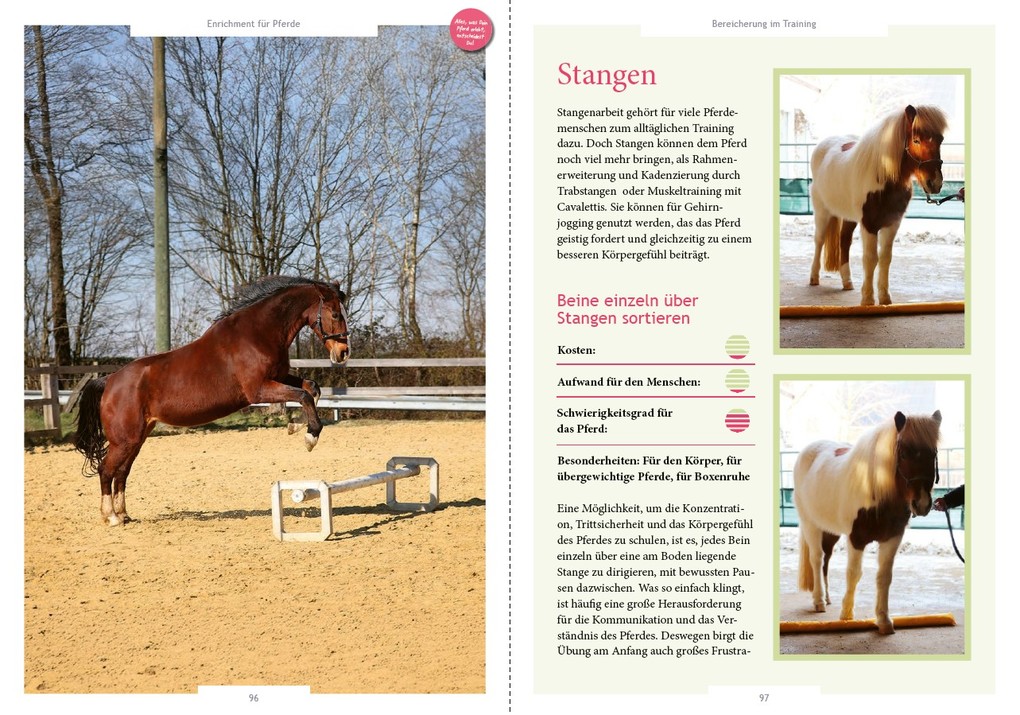 Weitere Ansicht: Enrichment für Pferde | Britta Gockel, Carina Warnstädt