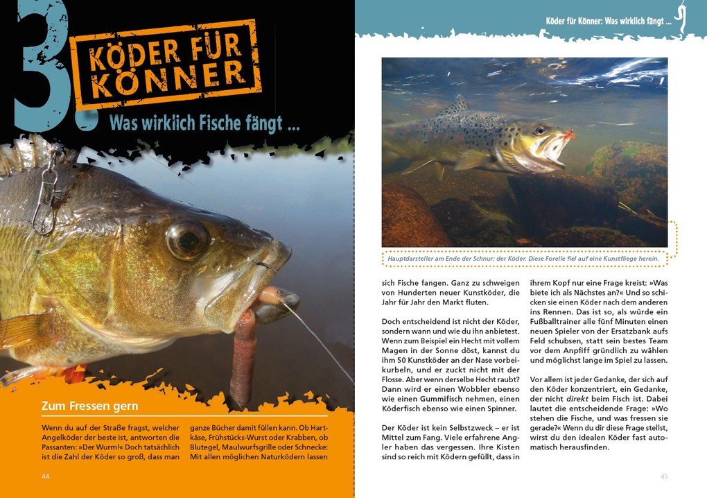 Weitere Ansicht: Fänger statt Anfänger - Angeln lernen - der schnellste Weg: Der Angel-Ratgeber von Spiegel Bestsellerautor Martin Wehrle | Martin Wehrle