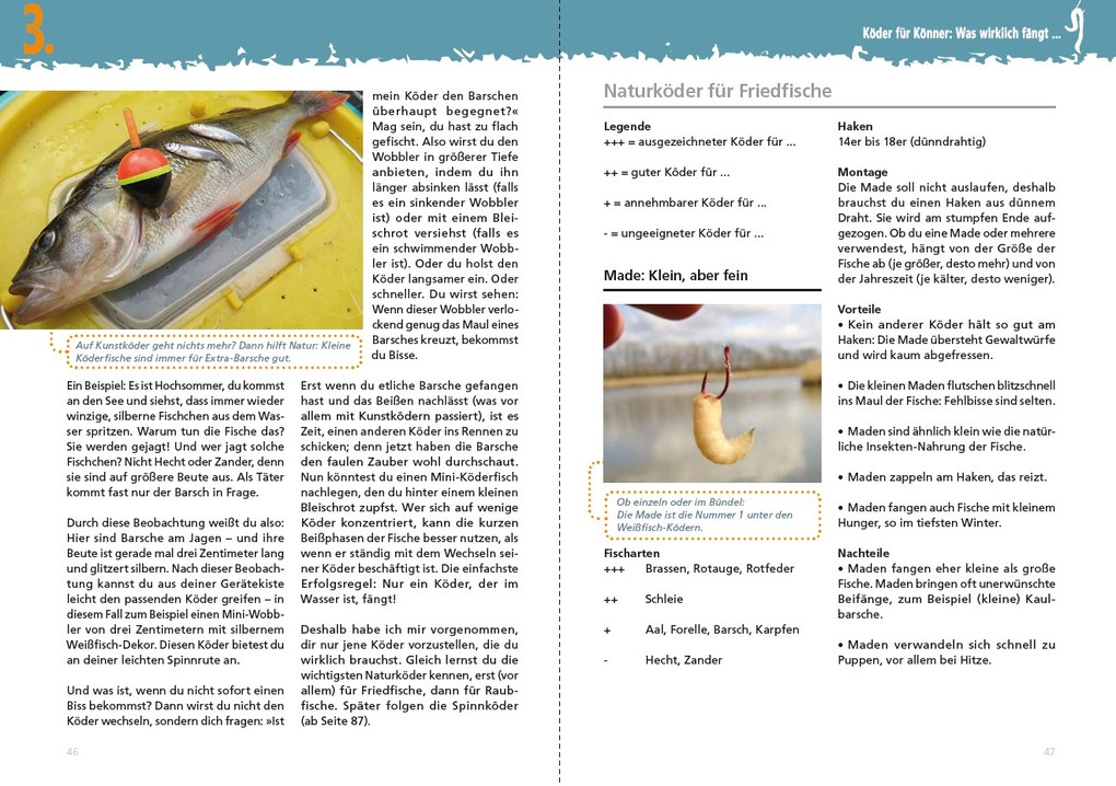 Weitere Ansicht: Fänger statt Anfänger - Angeln lernen - der schnellste Weg: Der Angel-Ratgeber von Spiegel Bestsellerautor Martin Wehrle | Martin Wehrle