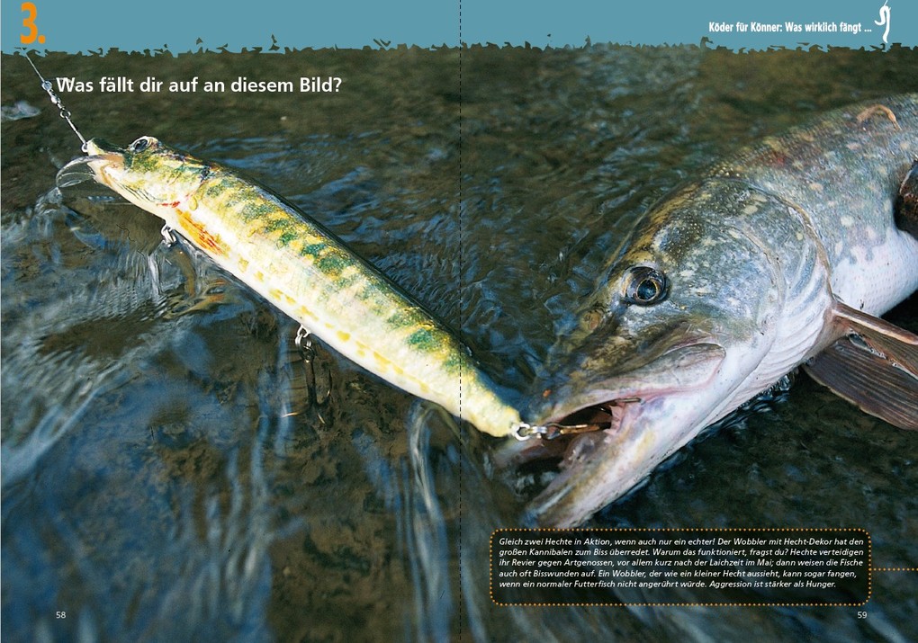 Weitere Ansicht: Fänger statt Anfänger - Angeln lernen - der schnellste Weg: Der Angel-Ratgeber von Spiegel Bestsellerautor Martin Wehrle | Martin Wehrle