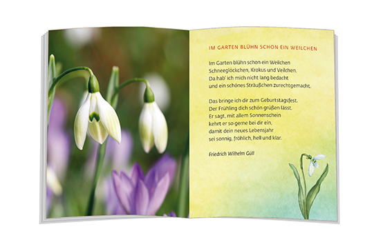 Weitere Ansicht: Geliebtes Schneeglöckchen