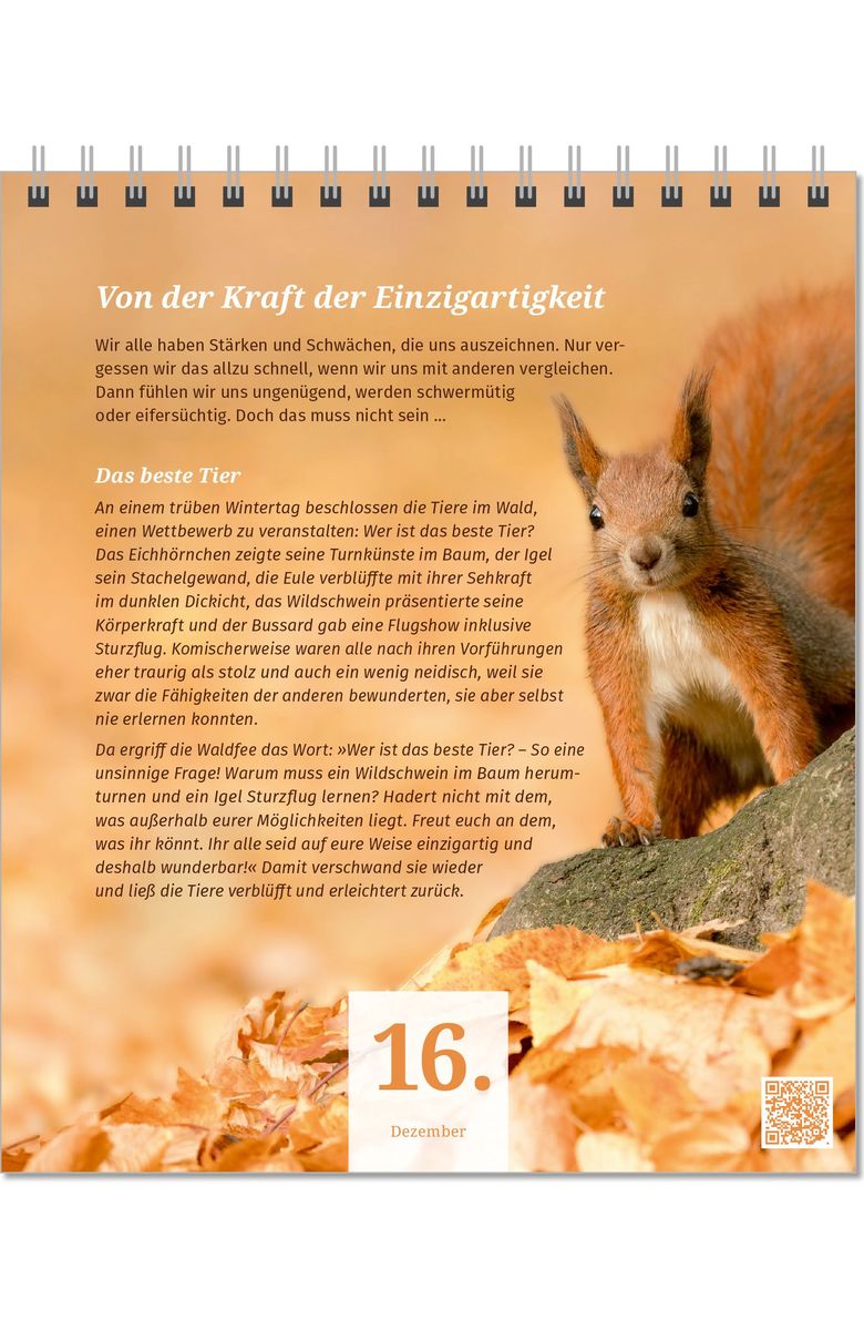 Weitere Ansicht: Der PAL Lebensfreude-Adventskalender 2026 - 24 Impulse für mehr Selbstliebe und Gelassenheit in der Vorweihnachtszeit | Maja Günther, Gert Kowarowsky, Doris Wolf, Rolf Merkle