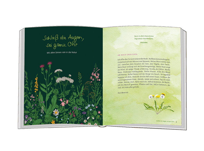 Weitere Ansicht: Da blüht die Seele auf