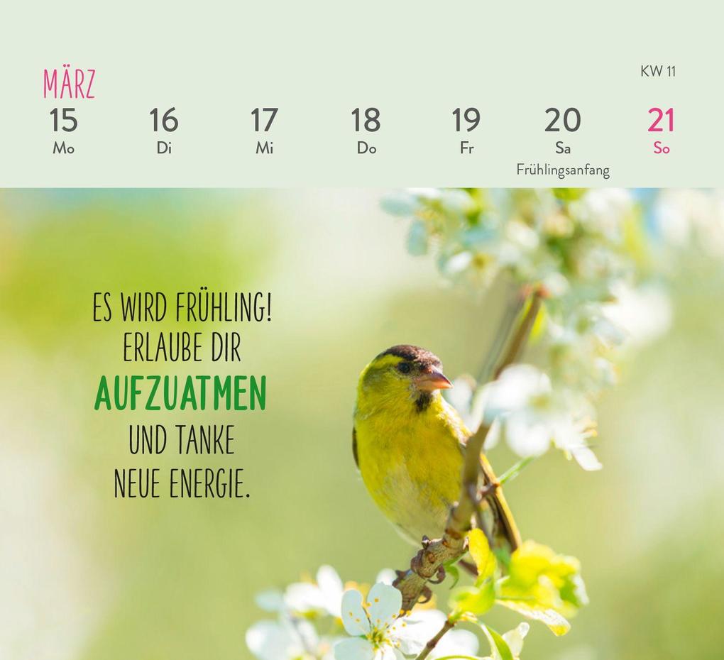 Weitere Ansicht: Mini-Wochenkalender 2027: Herzenswünsche für dich