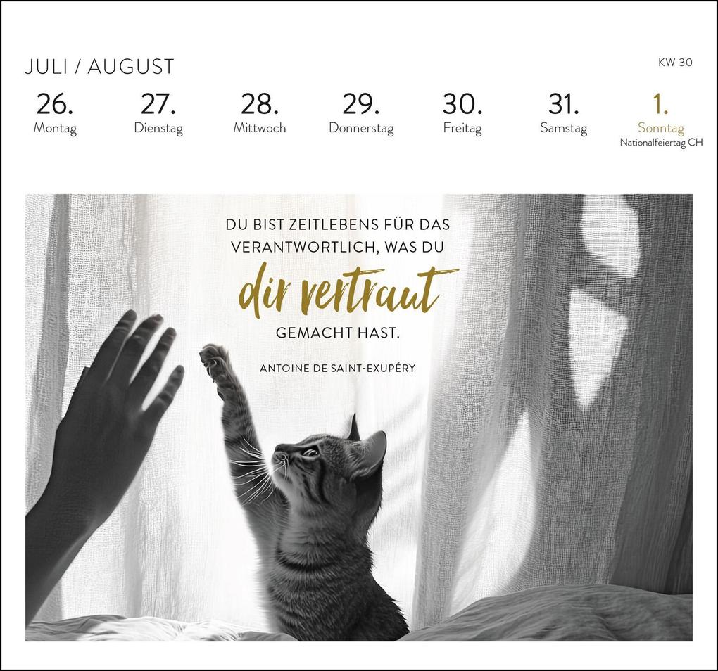 Weitere Ansicht: Postkartenkalender 2027: Inspirierende Worte für Katzenfreunde