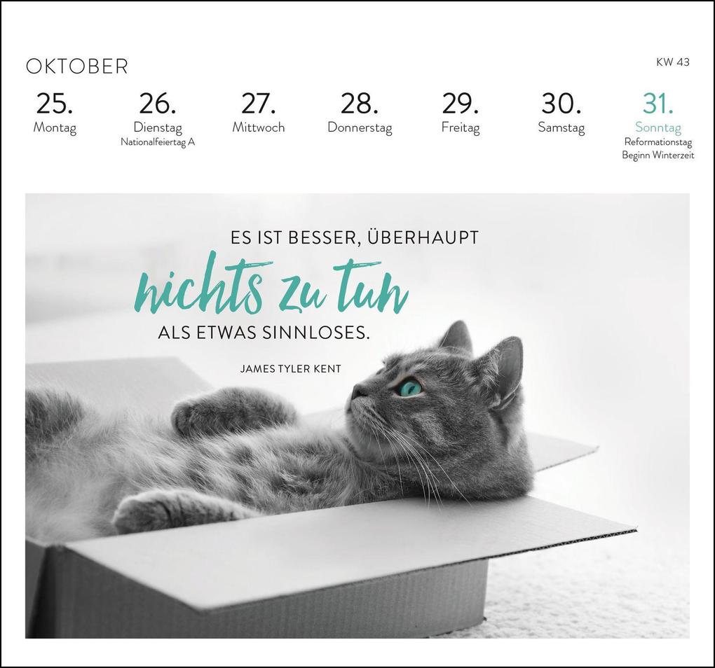 Weitere Ansicht: Postkartenkalender 2027: Inspirierende Worte für Katzenfreunde