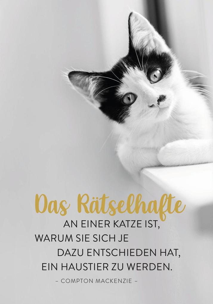 Weitere Ansicht: Buchkalender 2027: Für Katzenfreunde