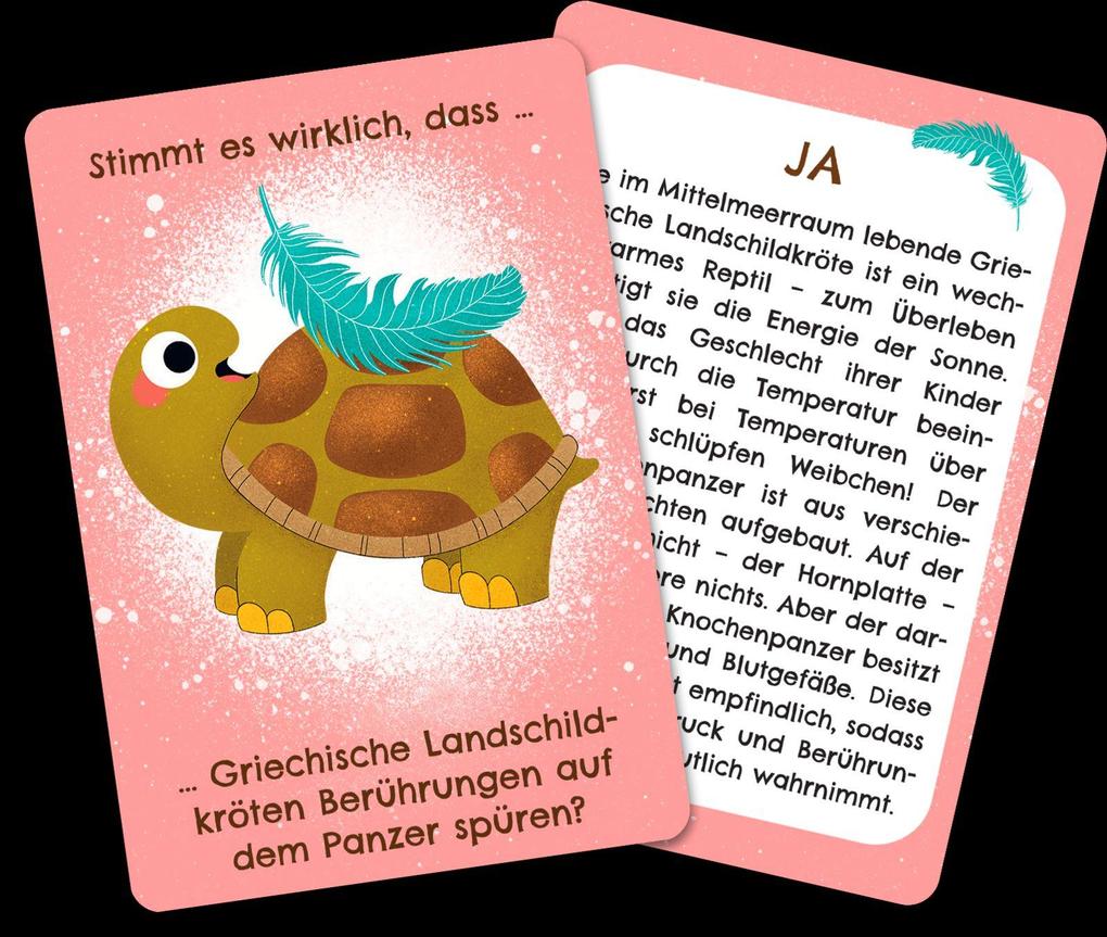 Weitere Ansicht: Werden Frösche manchmal blau? | Anika Gehrmann