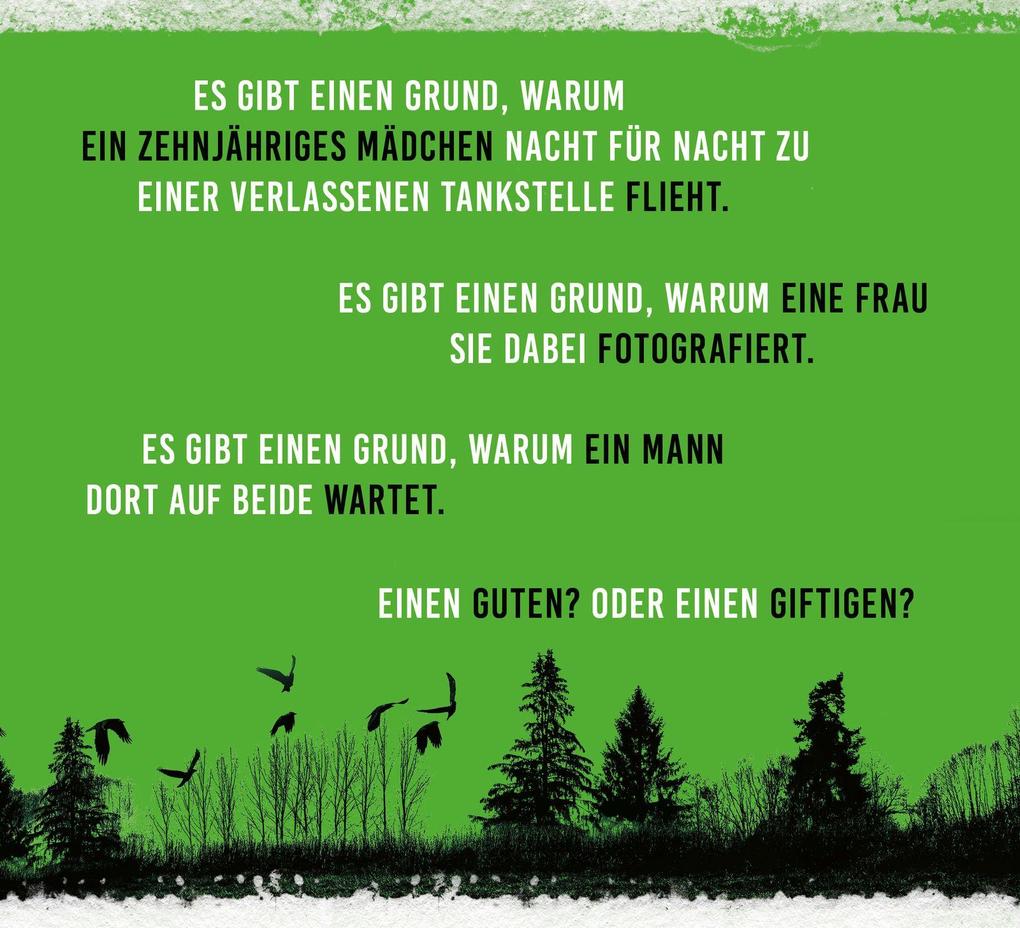 Weitere Ansicht: Giftiger Grund | Thomas Knüwer