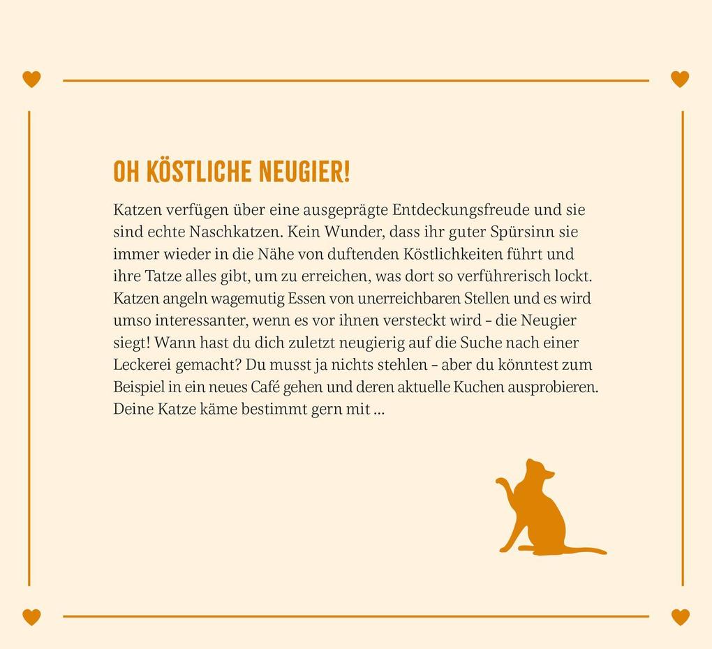 Weitere Ansicht: Wochenkalender 2027: Kluge Katzen