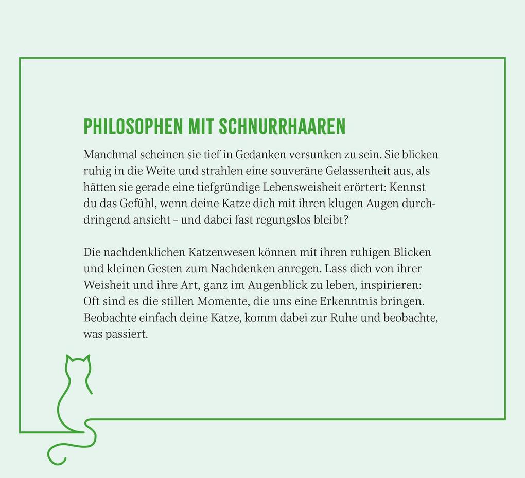 Weitere Ansicht: Wochenkalender 2027: Kluge Katzen