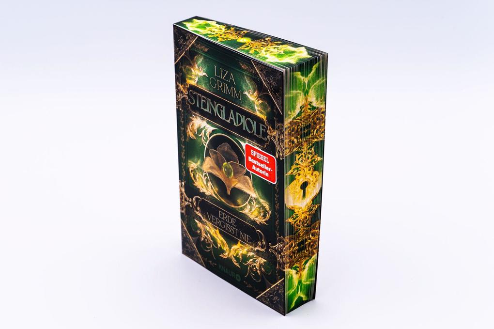 Weitere Ansicht: Steingladiole. Erde vergisst nie | Liza Grimm