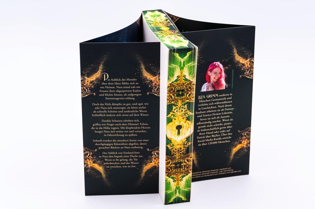 Weitere Ansicht: Steingladiole. Erde vergisst nie | Liza Grimm