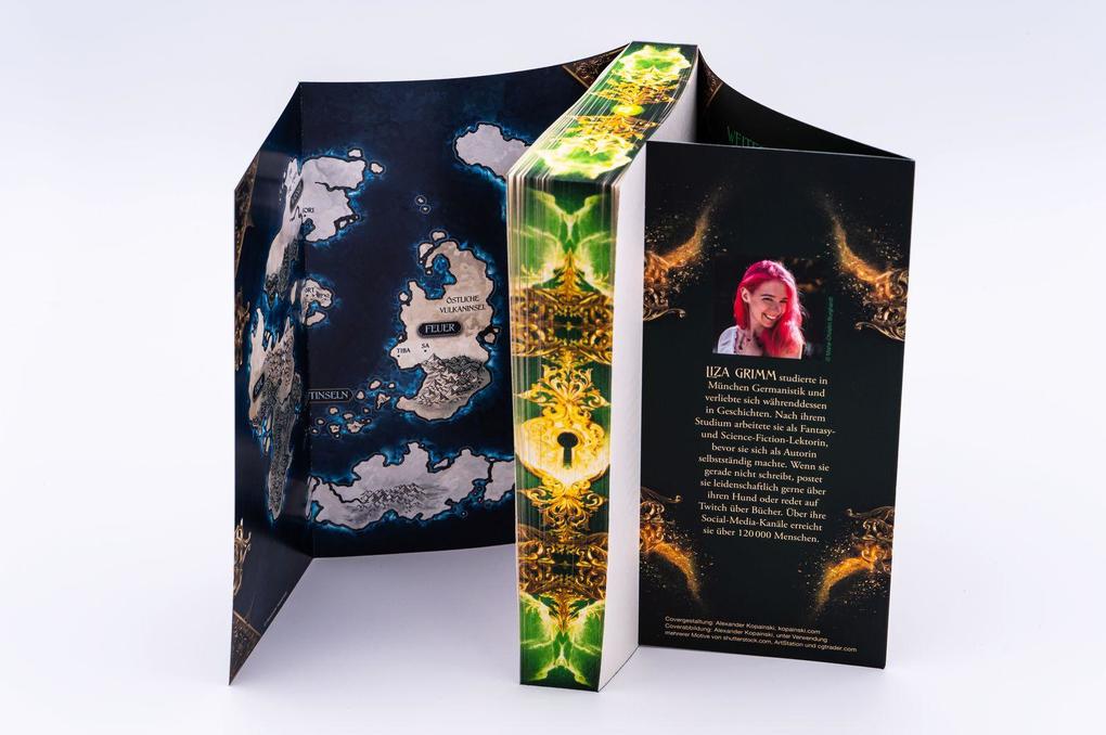 Weitere Ansicht: Steingladiole. Erde vergisst nie | Liza Grimm