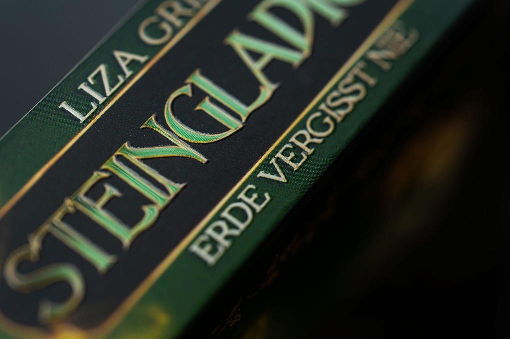 Weitere Ansicht: Steingladiole. Erde vergisst nie | Liza Grimm