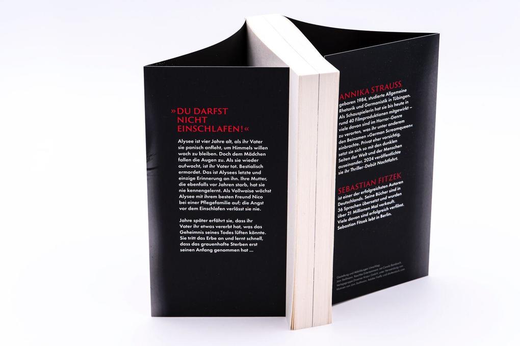 Weitere Ansicht: REM | Annika Strauss, Sebastian Fitzek