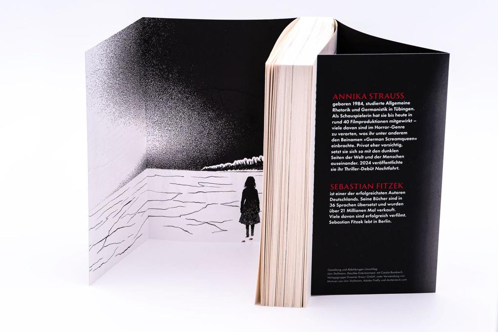 Weitere Ansicht: REM | Annika Strauss, Sebastian Fitzek