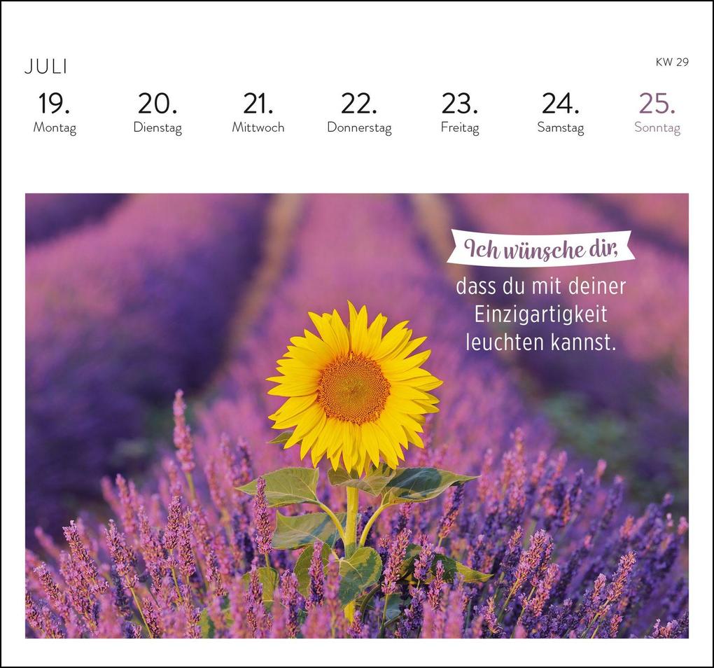Weitere Ansicht: Postkartenkalender 2027: Was ich dir wünsche für jeden Tag