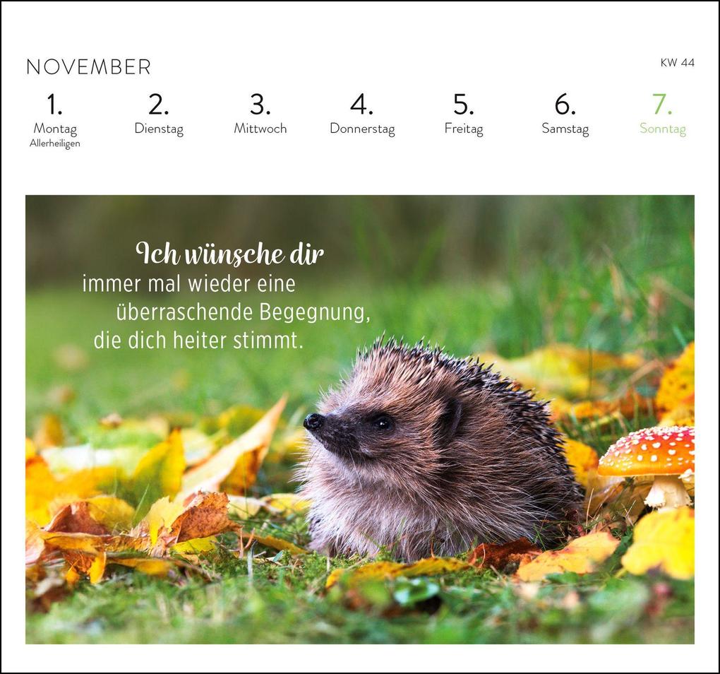 Weitere Ansicht: Postkartenkalender 2027: Was ich dir wünsche für jeden Tag