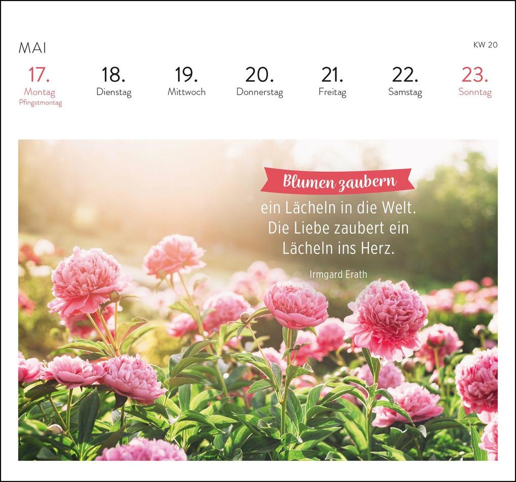Weitere Ansicht: Postkartenkalender 2027: Was ich dir wünsche für jeden Tag