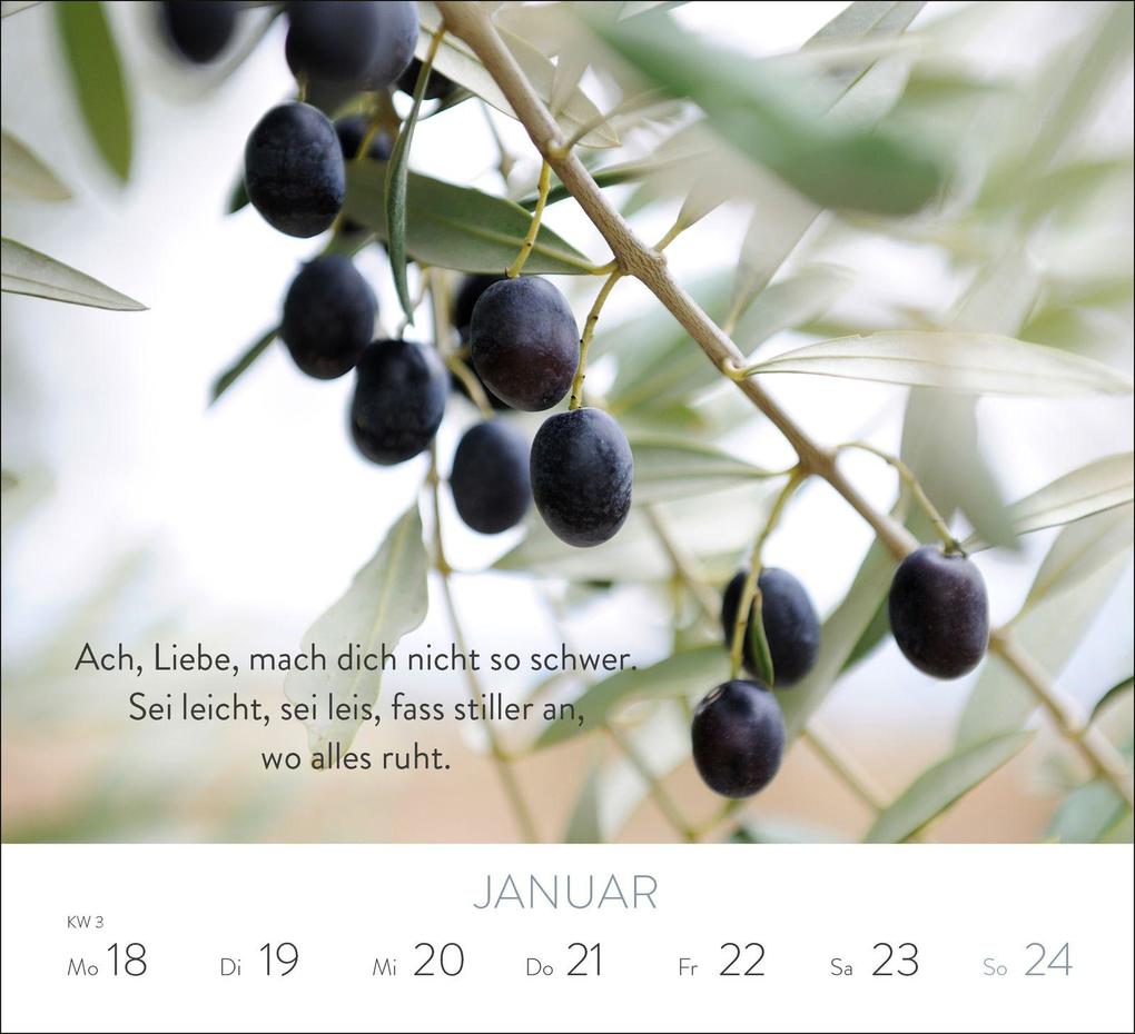 Weitere Ansicht: Wochenkalender 2027: Mit dem Herzen denken | Konstantin Wecker