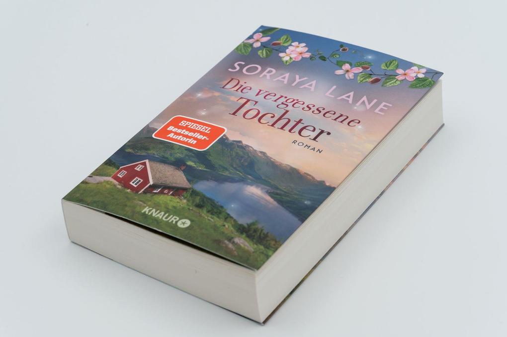 Weitere Ansicht: Die vergessene Tochter | Soraya Lane