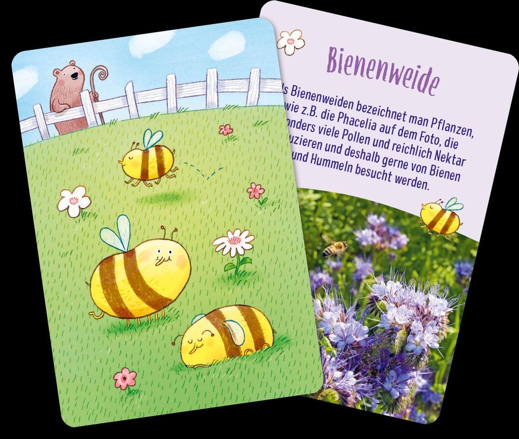 Weitere Ansicht: Löwenzahn und Gänseblümchen