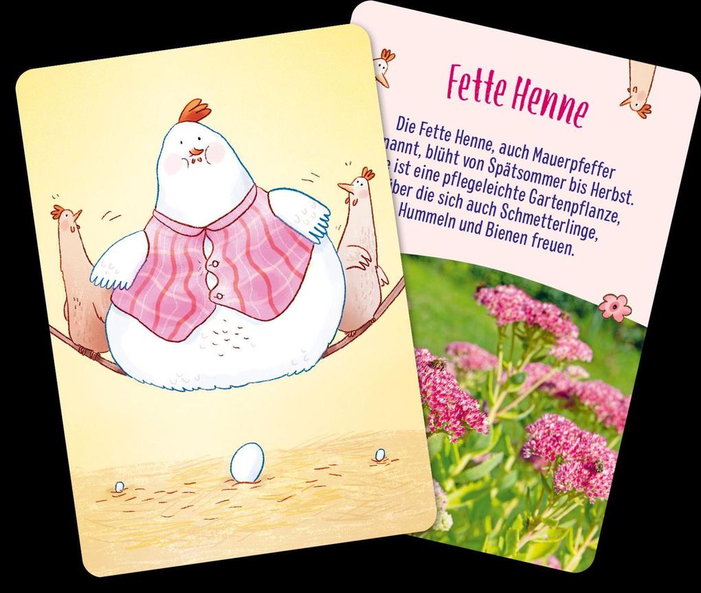 Weitere Ansicht: Löwenzahn und Gänseblümchen