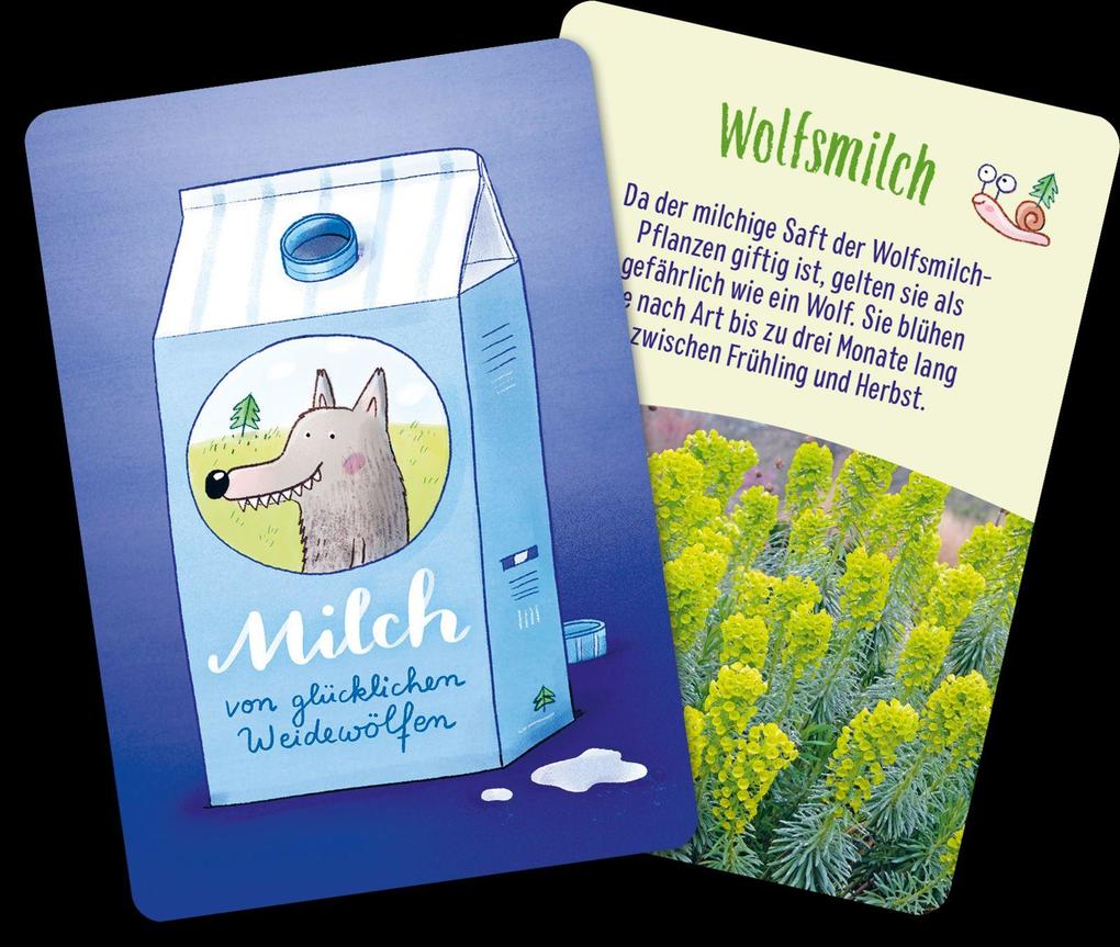 Weitere Ansicht: Löwenzahn und Gänseblümchen