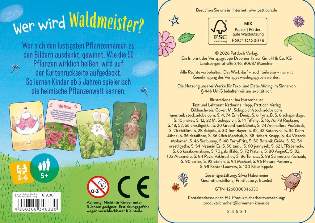 Weitere Ansicht: Löwenzahn und Gänseblümchen