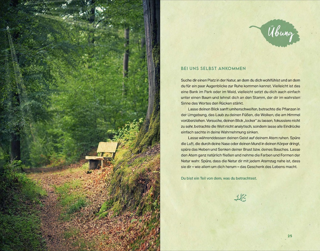 Weitere Ansicht: Kraftort Natur | Jennie Appel, Dirk Grosser