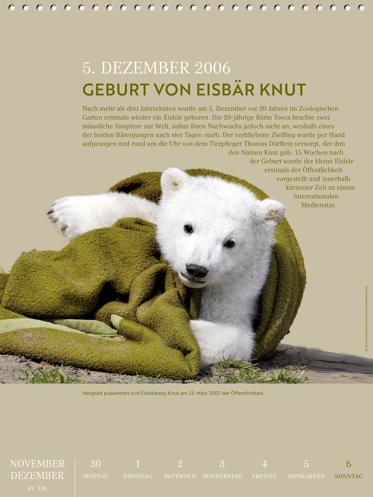 Weitere Ansicht: Berliner Geschichte 2027 | Marc Lippuner