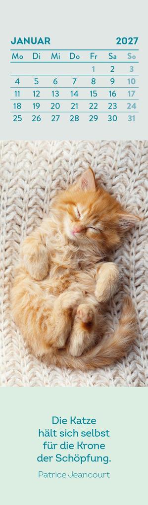 Weitere Ansicht: Lesezeichenkalender 2027: Katzenfreunde