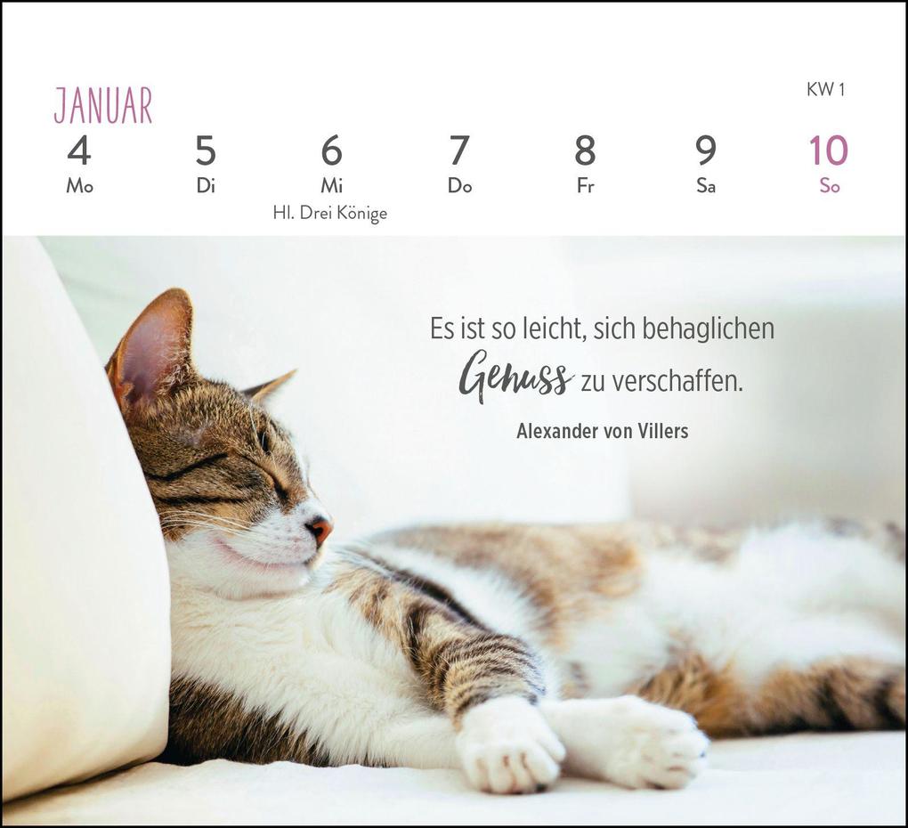 Weitere Ansicht: Mini-Wochenkalender 2027: Für Katzenfreunde