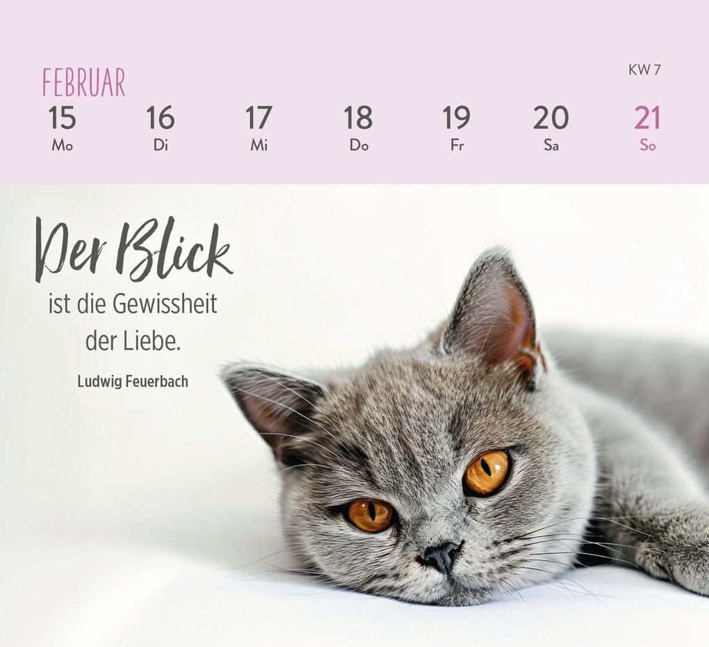 Weitere Ansicht: Mini-Wochenkalender 2027: Für Katzenfreunde