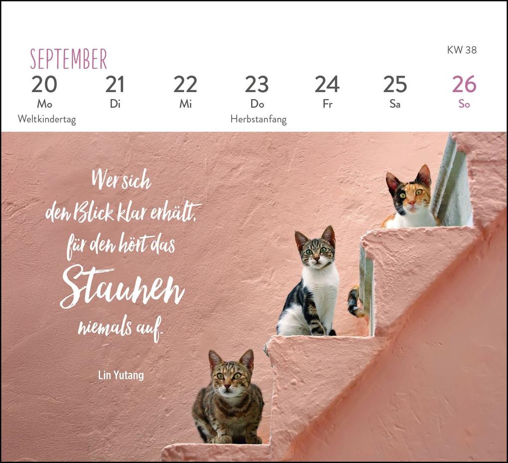 Weitere Ansicht: Mini-Wochenkalender 2027: Für Katzenfreunde