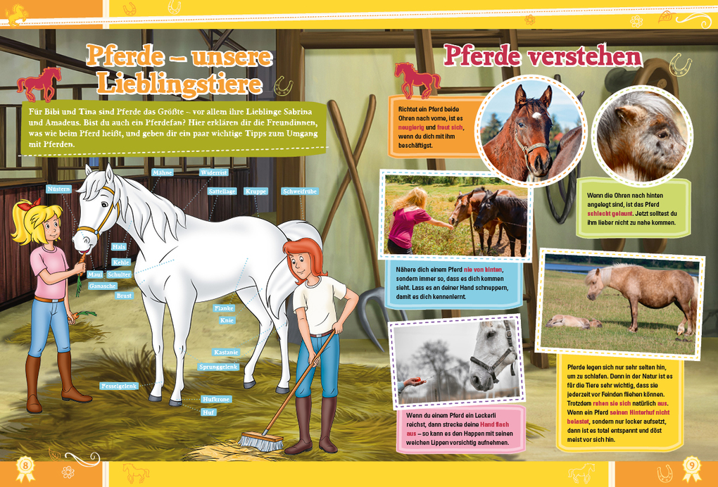 Weitere Ansicht: Bibi & Tina: Das große Jubiläumsbuch | Klaus-P. Weigand, Ulli Herzog, Ulf Tiehm, Claudia Weber, Marina Turina