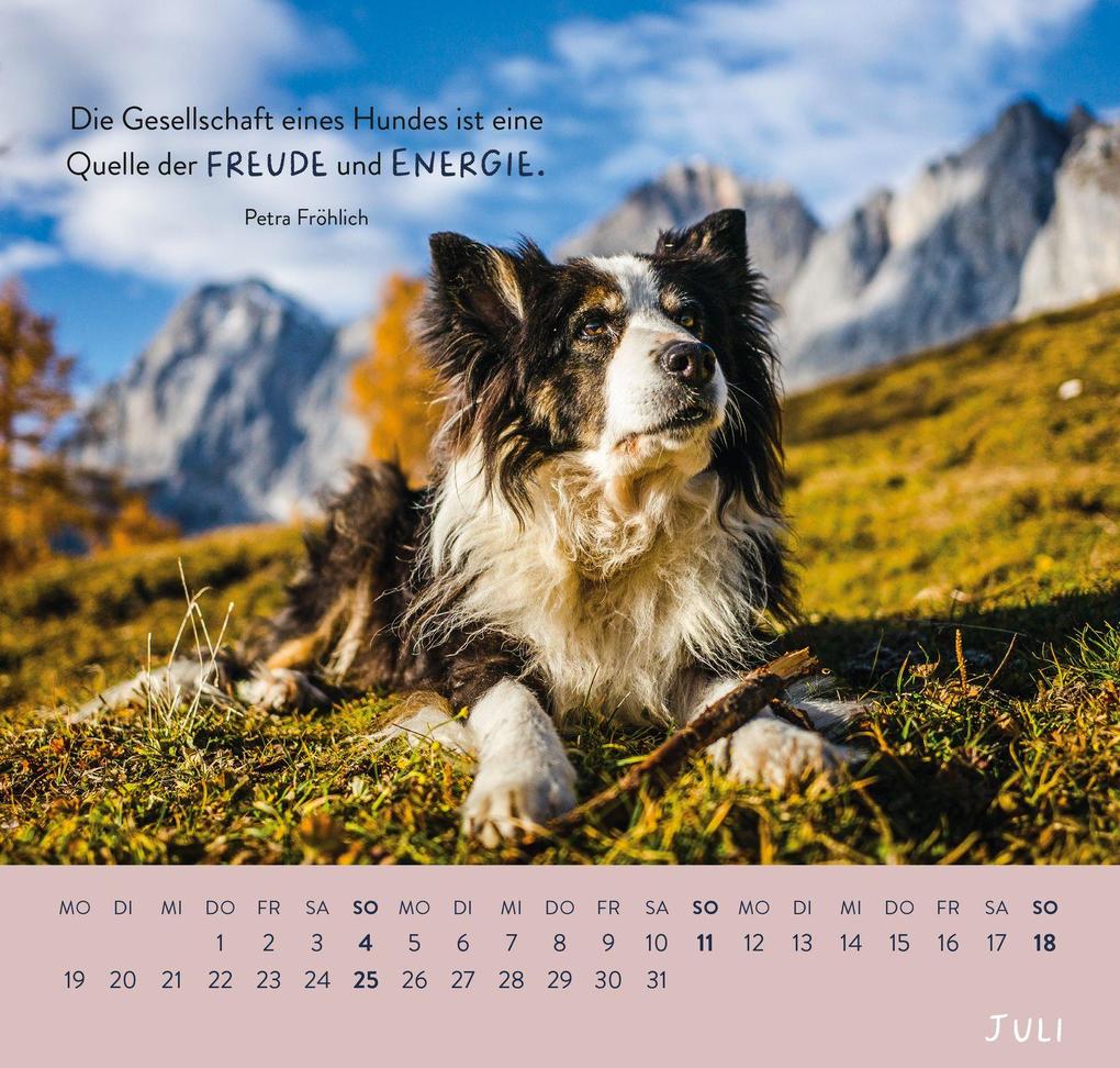 Weitere Ansicht: Wandkalender 2027: Für Hundefreunde