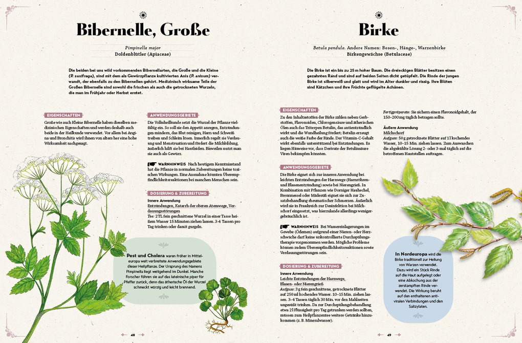 Weitere Ansicht: Das große Readers Digest Heilpflanzenbuch