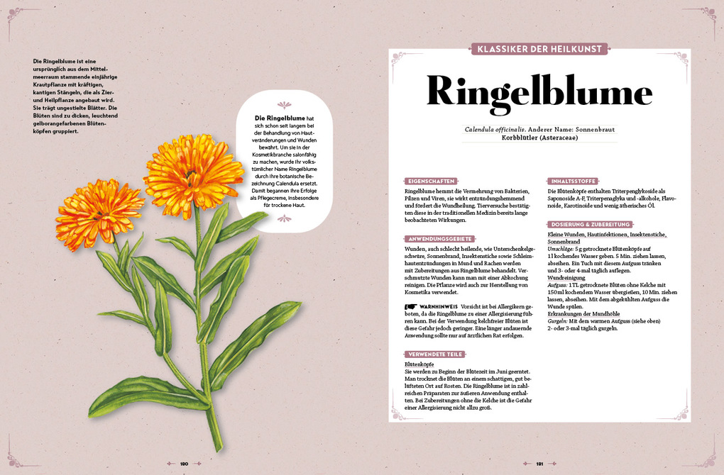 Weitere Ansicht: Das große Readers Digest Heilpflanzenbuch