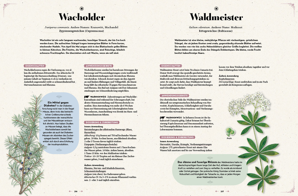 Weitere Ansicht: Das große Readers Digest Heilpflanzenbuch