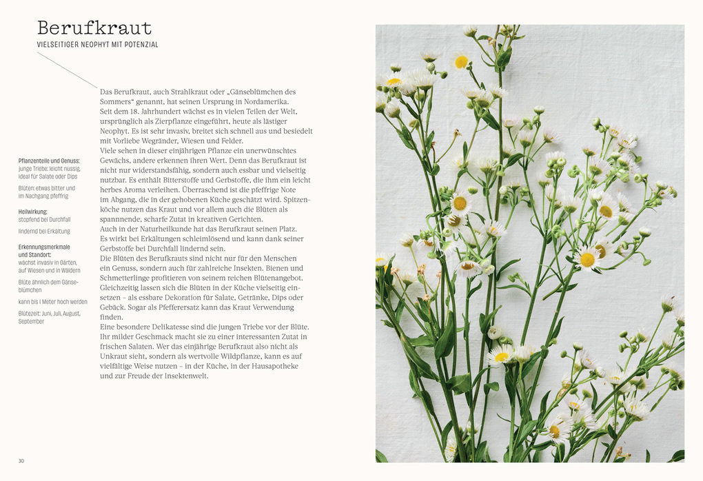 Weitere Ansicht: Wild. Kräuter. Vielfalt | Vera Mücke, Alexandra Gröber