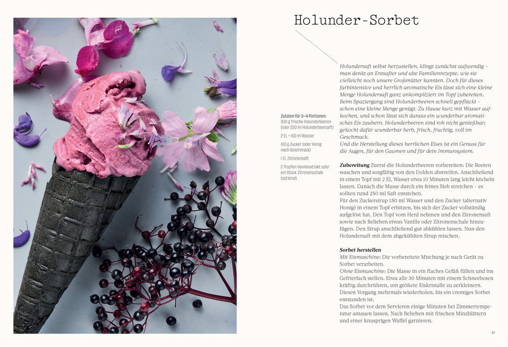 Weitere Ansicht: Wild. Kräuter. Vielfalt | Vera Mücke, Alexandra Gröber