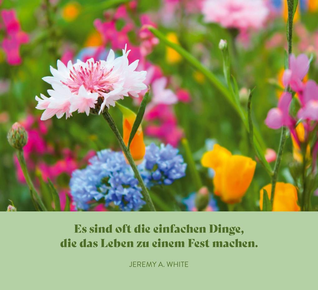 Weitere Ansicht: Lebe, wie es dir gefällt