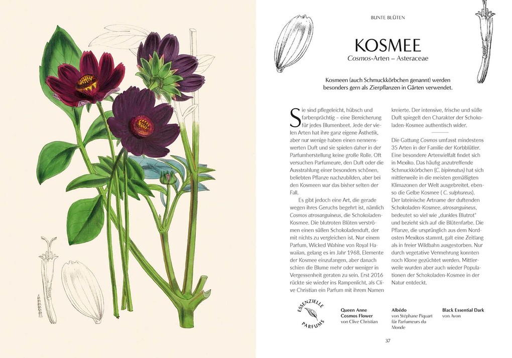 Weitere Ansicht: Duft | Josh Carter, Samuel Gearing