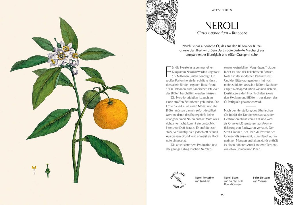 Weitere Ansicht: Duft | Josh Carter, Samuel Gearing