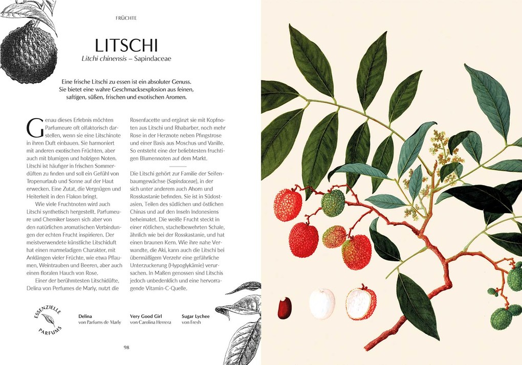 Weitere Ansicht: Duft | Josh Carter, Samuel Gearing