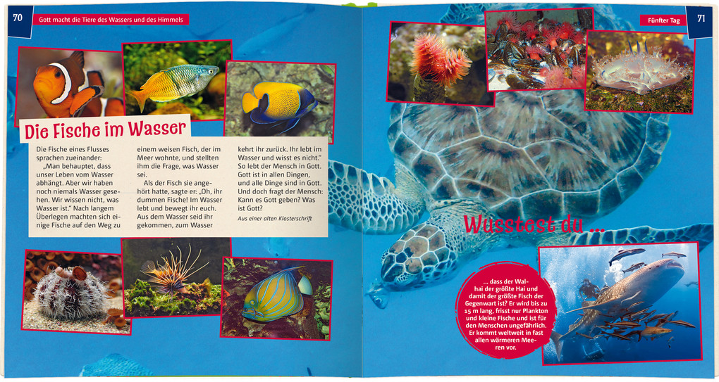 Weitere Ansicht: Wir entdecken die Schöpfung